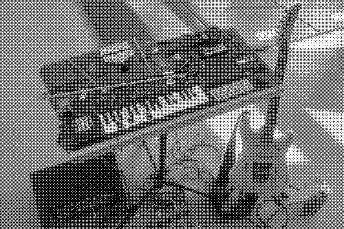usine